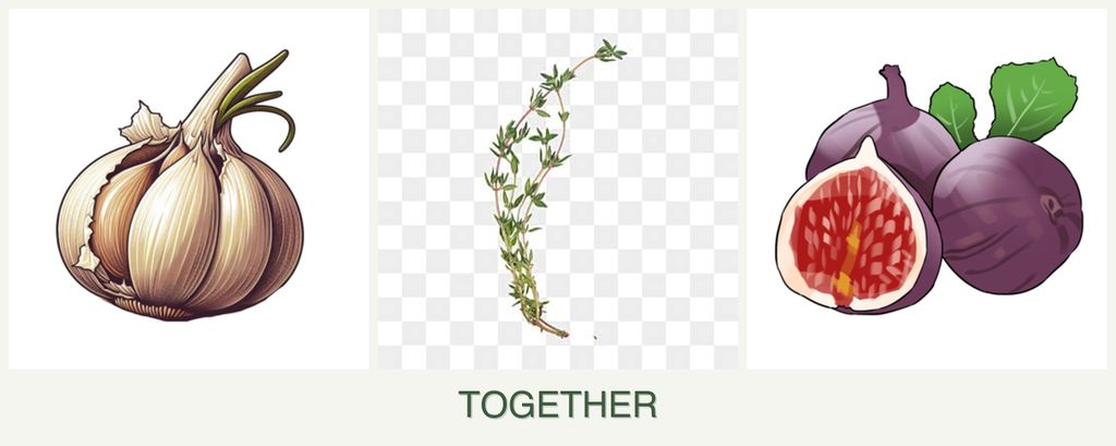 Can you plant garlic, thyme and figs together?