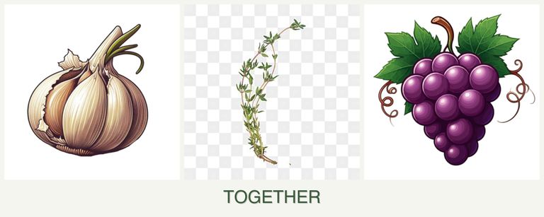 Can you plant garlic, thyme and grapes together?