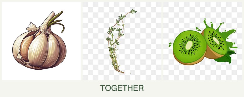 Can you plant garlic, thyme and kiwi together?
