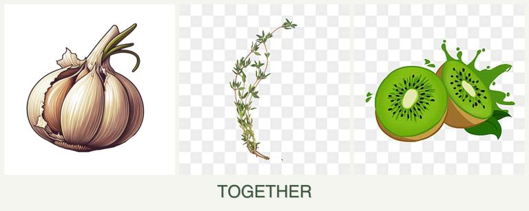 Can you plant garlic, thyme and kiwi together?