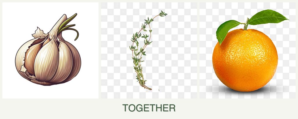 Can you plant garlic, thyme and oranges together?