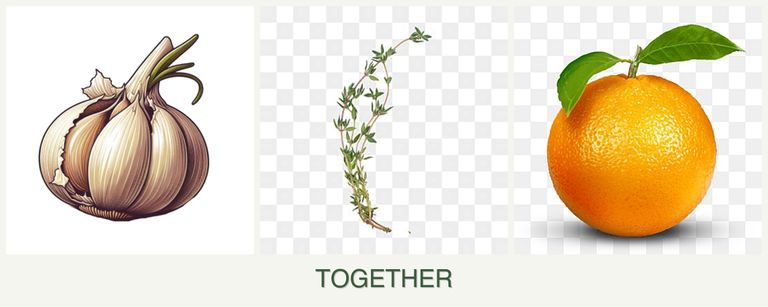 Can you plant garlic, thyme and oranges together?