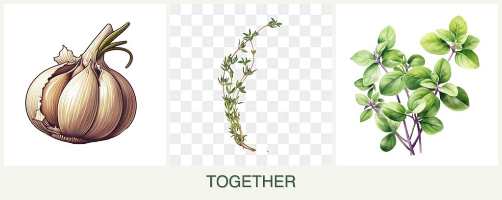 Can you plant garlic, thyme and oregano together?