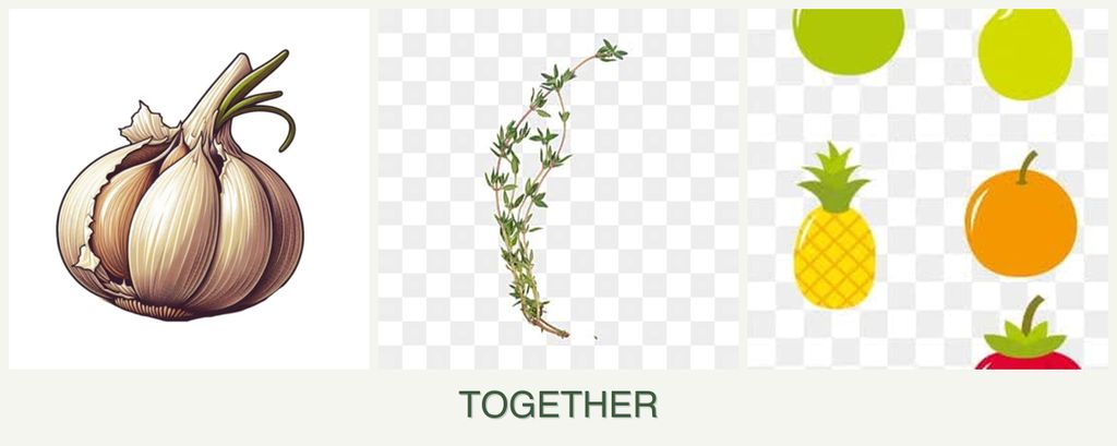 Can you plant garlic, thyme and pears together?