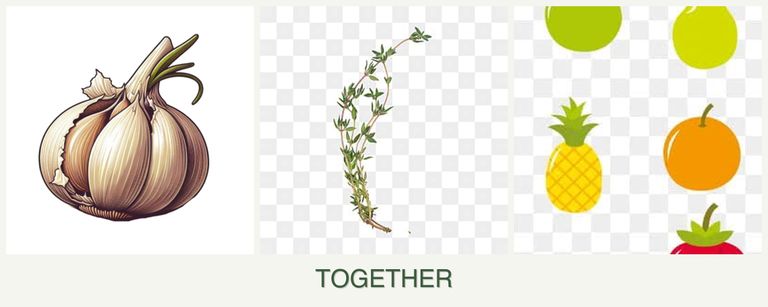 Can you plant garlic, thyme and pears together?