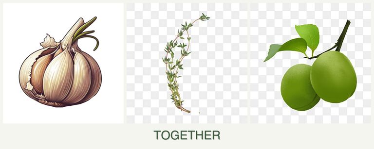 Can you plant garlic, thyme and plums together?