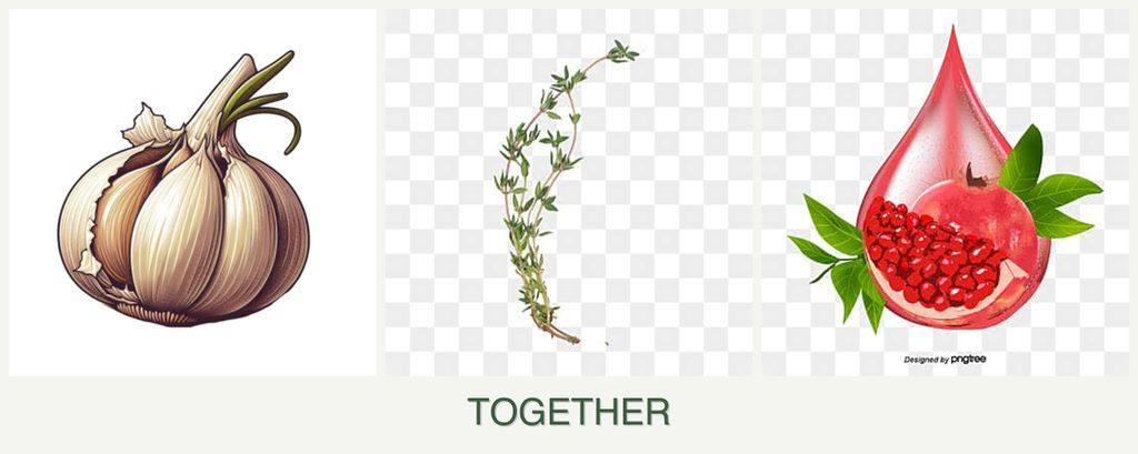 Can you plant garlic, thyme and pomegranates together?