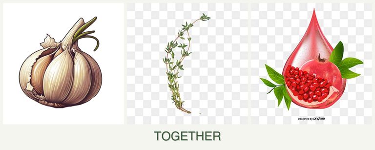Can you plant garlic, thyme and pomegranates together?