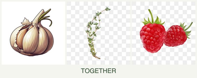 Can you plant garlic, thyme and raspberries together?
