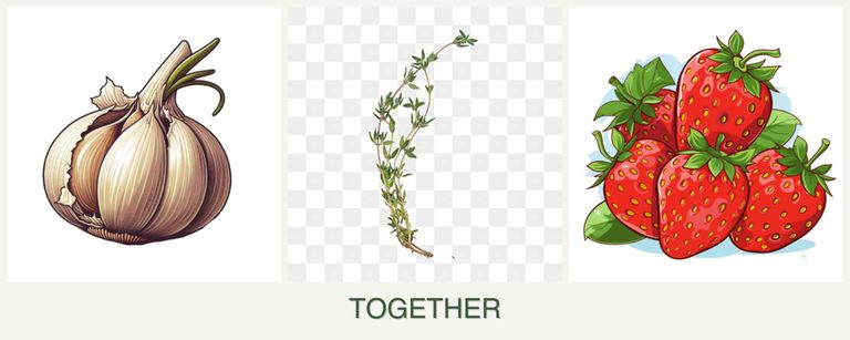 Can you plant garlic, thyme and strawberries together?