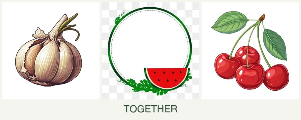 Can you plant garlic, watermelons and cherries together?