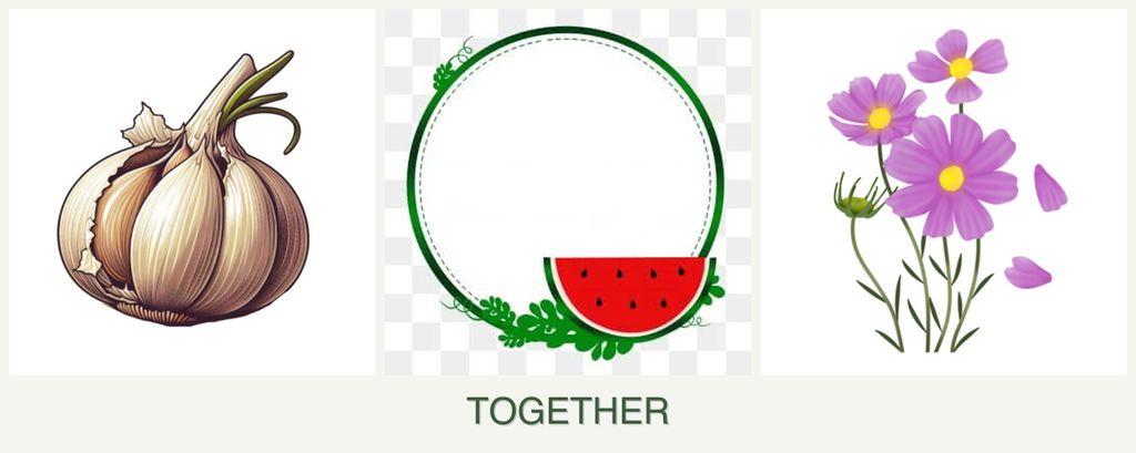 Can you plant garlic, watermelons and cosmos together?
