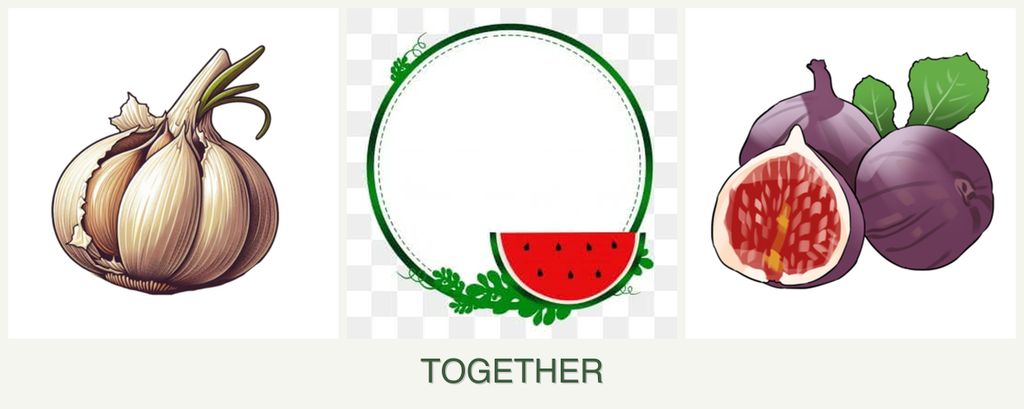 Can you plant garlic, watermelons and figs together?