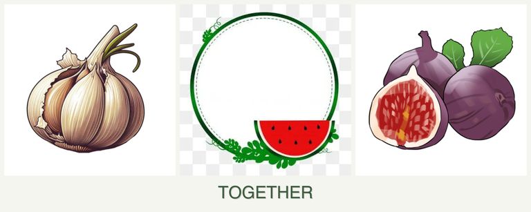 Can you plant garlic, watermelons and figs together?