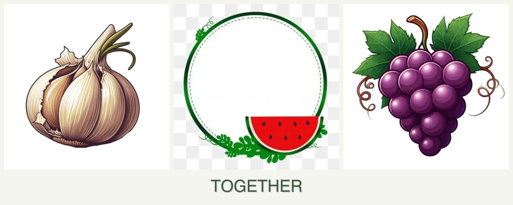 Can you plant garlic, watermelons and grapes together?