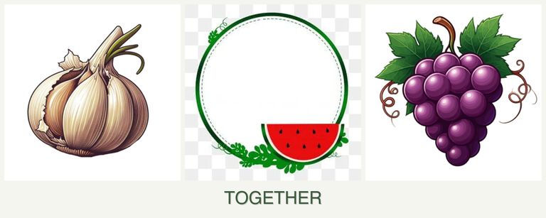 Can you plant garlic, watermelons and grapes together?