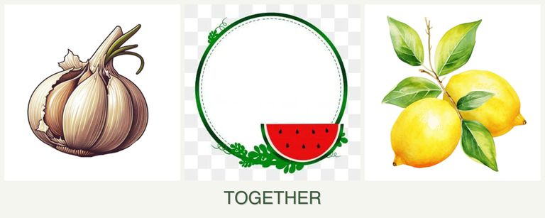 Can you plant garlic, watermelons and lemons together?