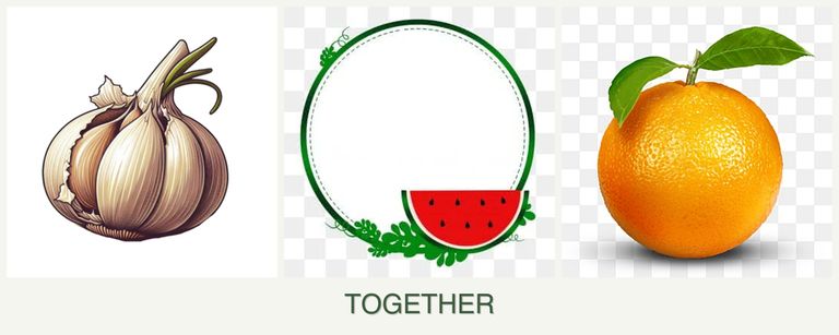 Can you plant garlic, watermelons and oranges together?