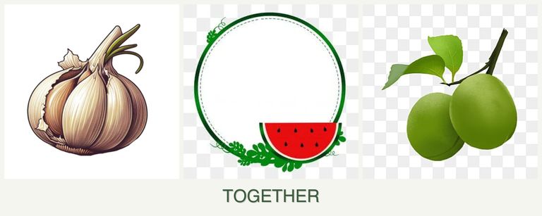 Can you plant garlic, watermelons and plums together?