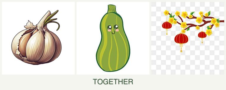 Can you plant garlic, zucchini and apricots together?