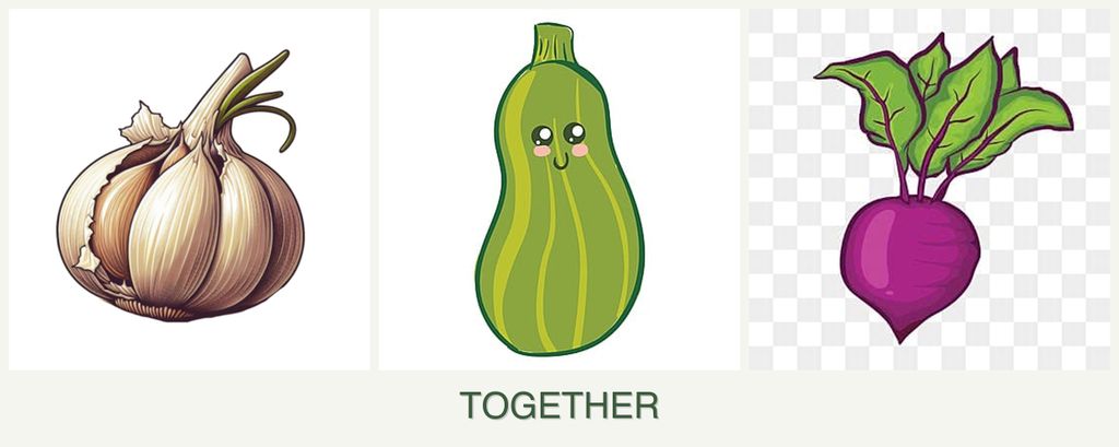 Can you plant garlic, zucchini and beets together?