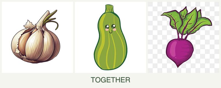 Can you plant garlic, zucchini and beets together?