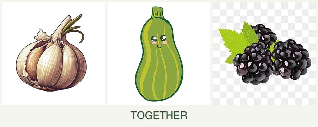 Can you plant garlic, zucchini and blackberries together?