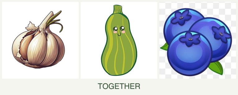 Can you plant garlic, zucchini and blueberries together?