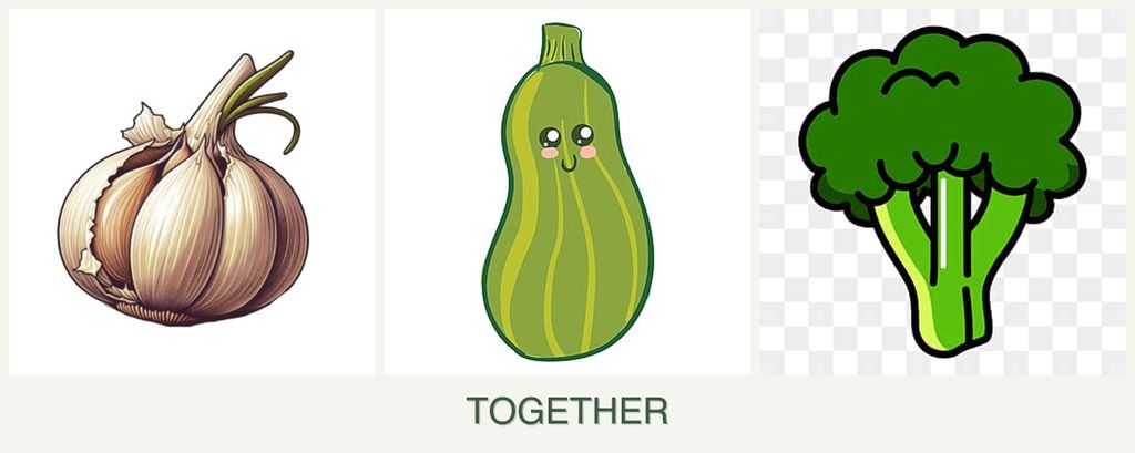 Can you plant garlic, zucchini and broccoli together?