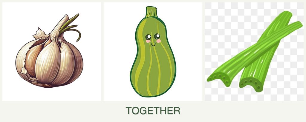 Can you plant garlic, zucchini and celery together?
