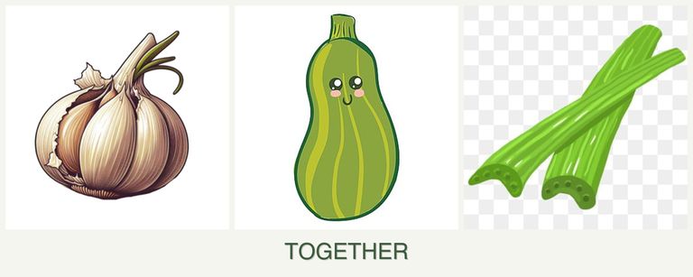 Can you plant garlic, zucchini and celery together?