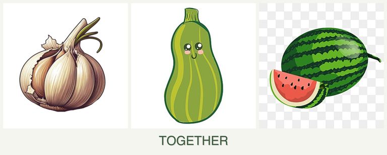 Can you plant garlic, zucchini and melons together?