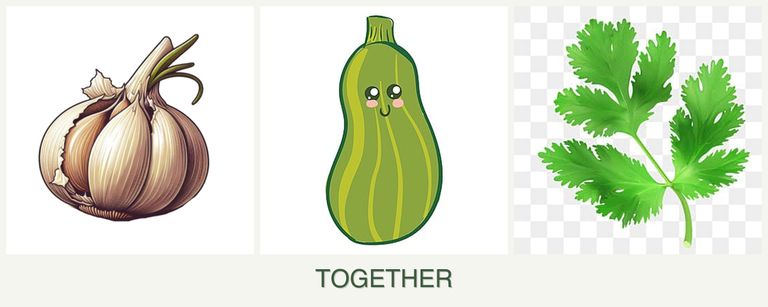 Can you plant garlic, zucchini and parsley together?