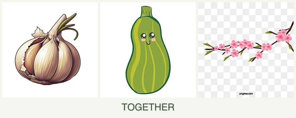 Can you plant garlic, zucchini and peaches together?