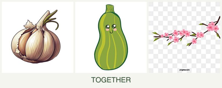 Can you plant garlic, zucchini and peaches together?