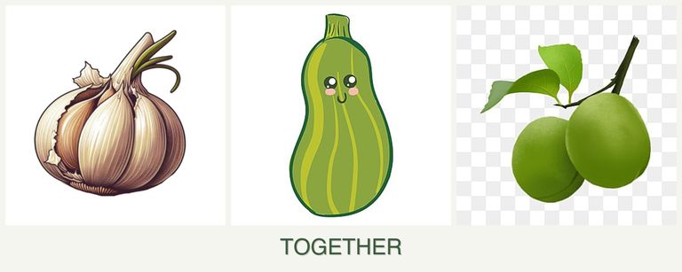 Can you plant garlic, zucchini and plums together?