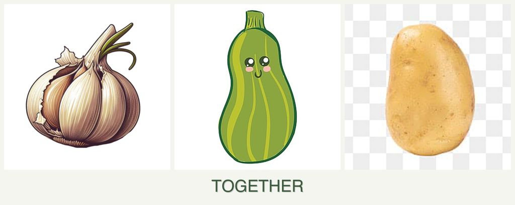 Can you plant garlic, zucchini and potatoes together?