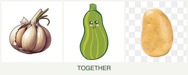 Can you plant garlic, zucchini and potatoes together?