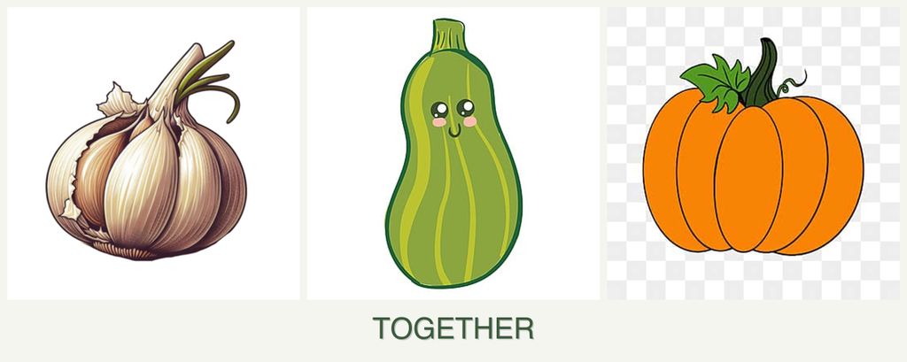 Can you plant garlic, zucchini and pumpkin together?