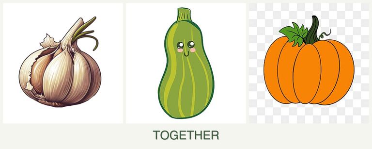 Can you plant garlic, zucchini and pumpkin together?