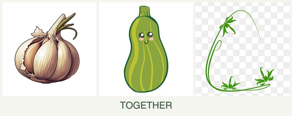 Can you plant garlic, zucchini and tarragon together?
