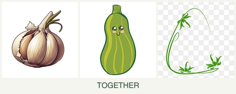 Can you plant garlic, zucchini and tarragon together?
