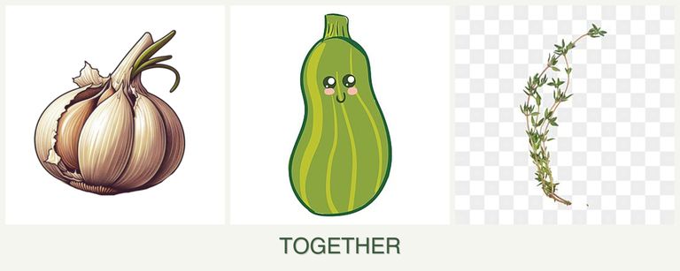 Can you plant garlic, zucchini and thyme together?