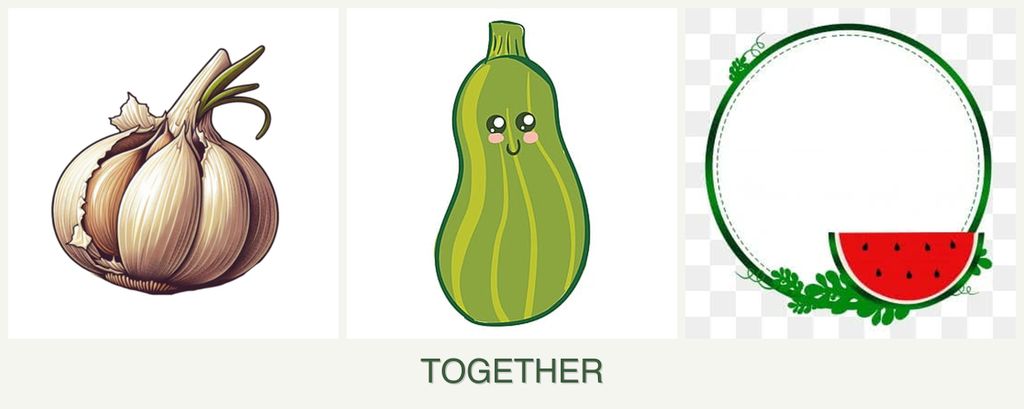 Can you plant garlic, zucchini and watermelons together?