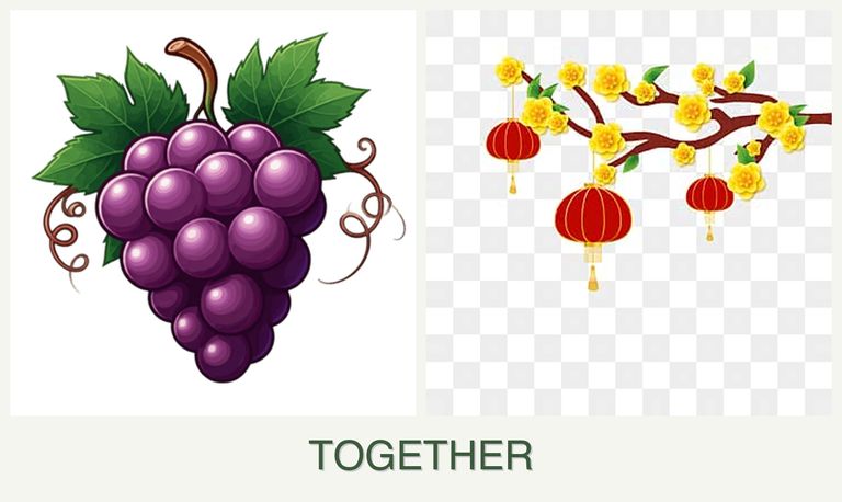 Can you plant grapes and apricots together?