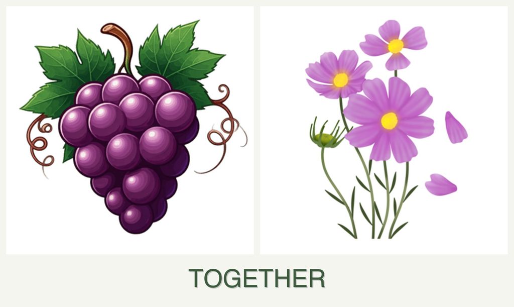 Can you plant grapes and cosmos together?