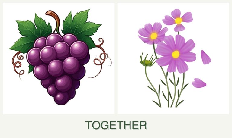 Can you plant grapes and cosmos together?