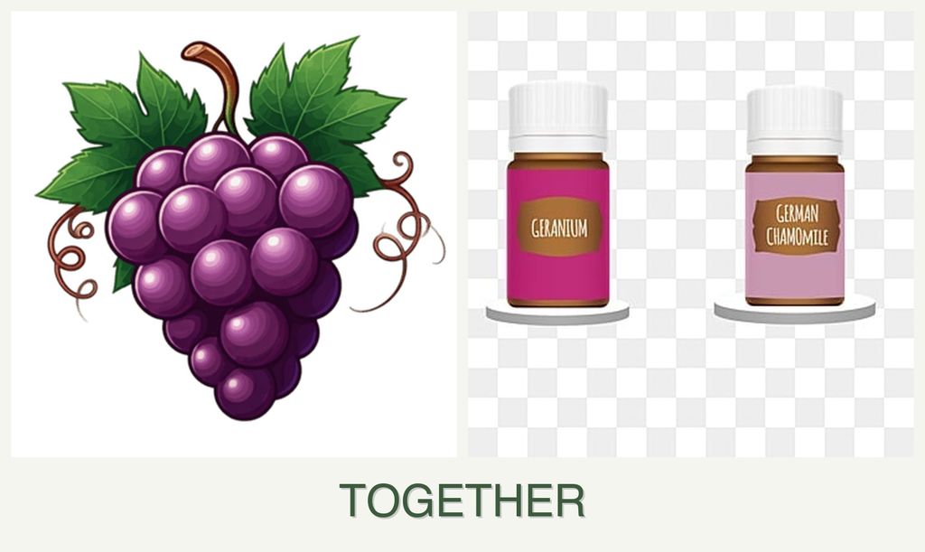 Can you plant grapes and geraniums together?
