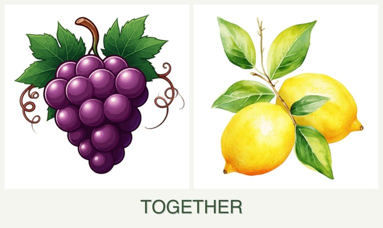 Can you plant grapes and lemons together?