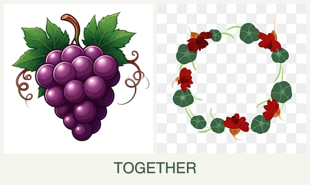 Can you plant grapes and nasturtiums together?